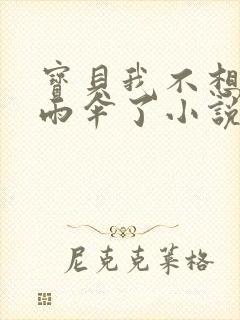 宝贝我不想带小雨伞了小说