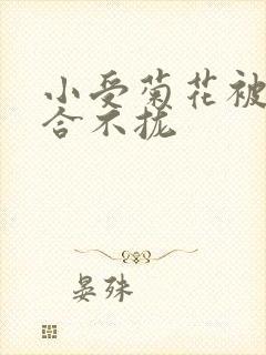 小受菊花被双龙合不拢