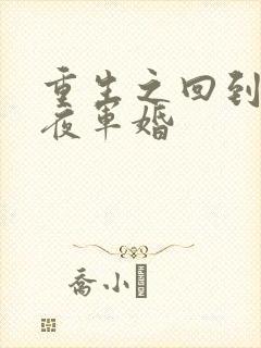 重生之回到新婚夜军婚