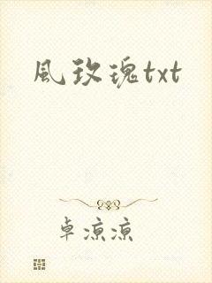 风玫瑰txt