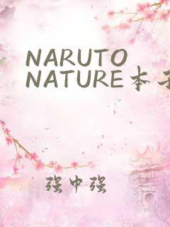 NARUTO NATURE本子