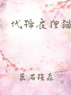 代号夜狸猫事件