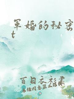 军婚的秘密txt