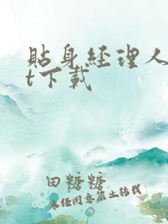 贴身经理人txt下载