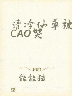 清冷仙尊被强制CAO哭