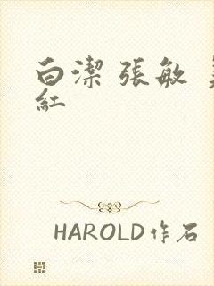 白洁 张敏 美红