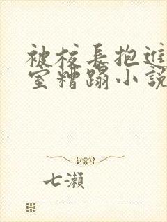 被校长抱进办公室糟蹋小说