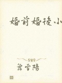 婚前婚后小说