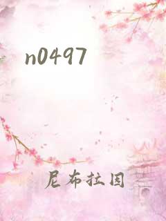 n0497