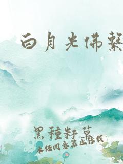 白月光佛系日常