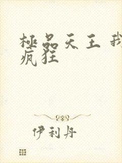 极品天王 我本疯狂