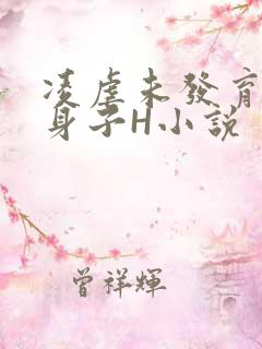凌虐未发育的小身子H小说