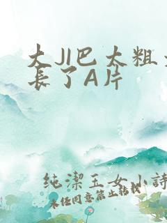 大JI巴太粗太长了A片