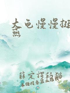 大龟慢慢挺进张燕