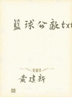 篮球公敌txt