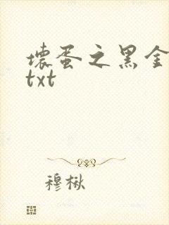 坏蛋之黑金帝国txt