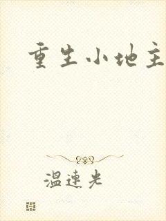 重生小地主u8