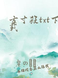 方寸杀txt下载