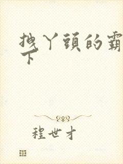 拽丫头的霸道殿下