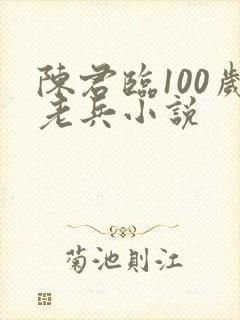 陈君临100岁老兵小说