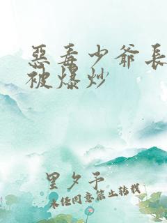 恶毒少爷长大后被爆炒