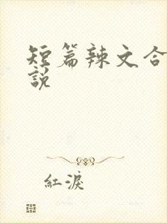 短篇辣文合集小说