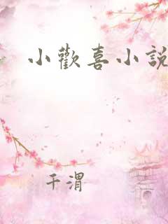 小欢喜小说
