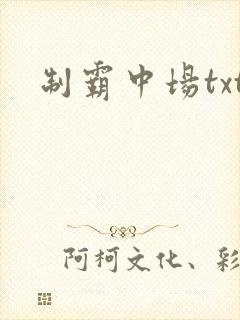 制霸中场txt