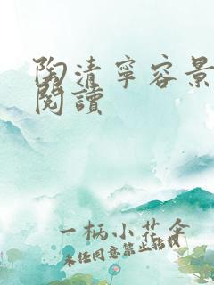 陶清宁容景免费阅读