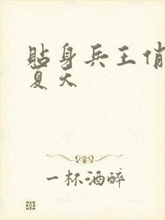 贴身兵王俏总裁夏天