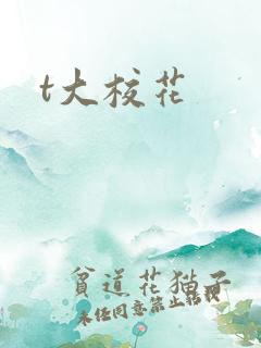 t大校花