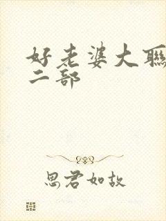 好老婆大联盟第二部