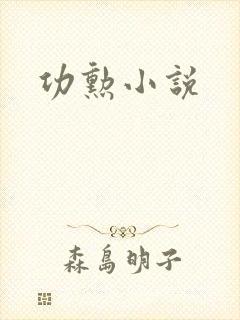 功勋小说