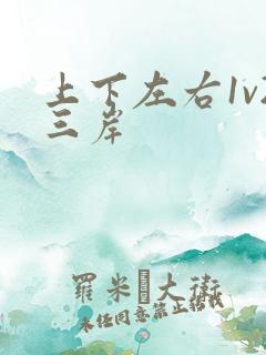 上下左右1v2三岸