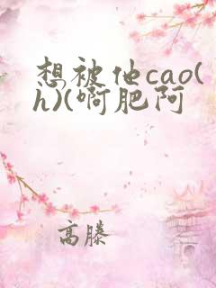 想被他cao(h)(啊肥阿