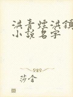 洪青烟洪镇国的小说名字