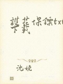 护花保镖txt下载