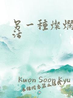 另一种灿烂的生活