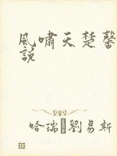 风啸天楚馨月小说