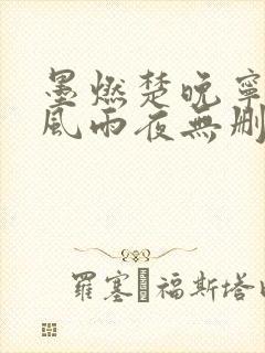 墨燃楚晚宁痴缠风雨夜无删减