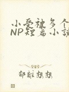 小受被多个攻强NP短篇小说