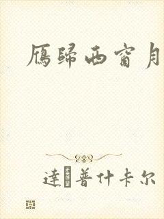 雁归西窗月小说