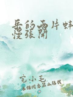 岳的两片蚌肉慢慢张开