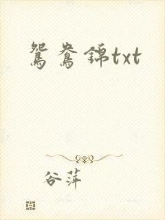 鸳鸯锦txt