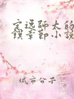 定逸师太的肉夹馍章节小说