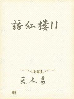 诱红楼11