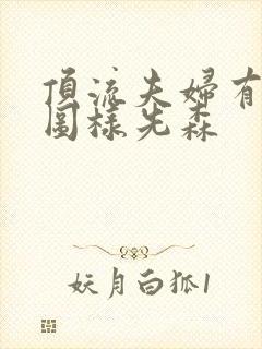 顶流夫妇有点甜图样先森