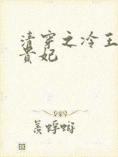 清穿之冷王的皇贵妃