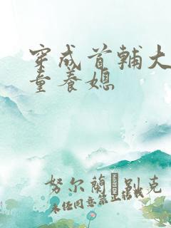 穿成首辅大人的童养媳