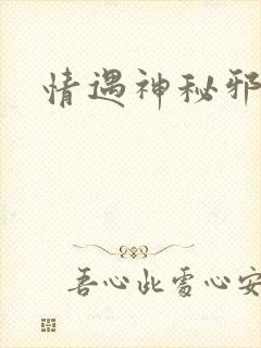 情遇神秘邪少